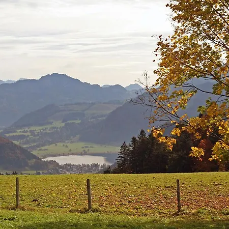 Mountain &