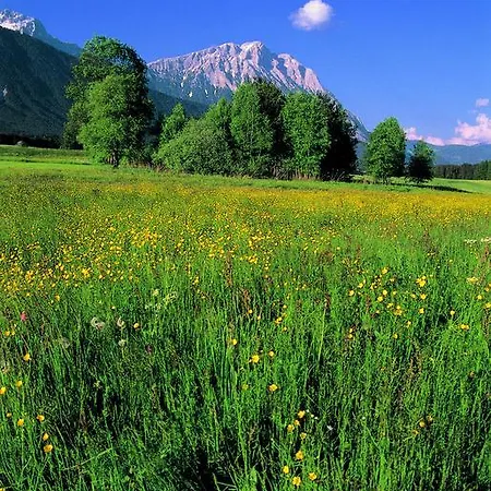 Mountain & Walchsee