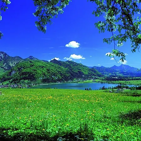 Mountain & 度假居